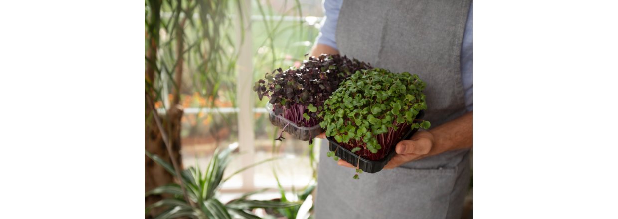 Selvvandingspotte | Fordele og anvendelse i din have