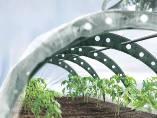 Fr� til k�kkenhaven: S�dan v�lger du de bedste sorter til din have