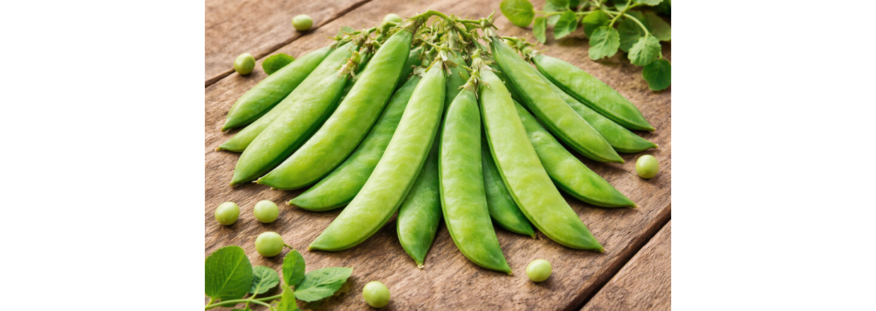 Hvorn�r s�r man �rter? S�dan planl�gger du den bedste s�tid