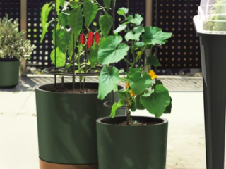 Vandingssystem til krukker: Hvilke l�sninger findes der?