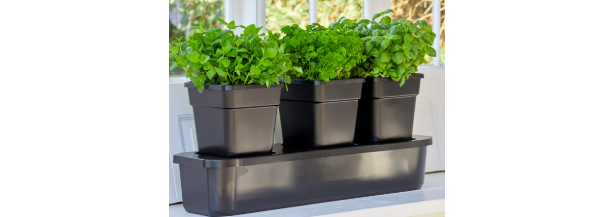 Selvvandingskasse: S�dan fungerer den i haven