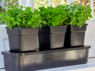 Selvvandingskasse: S�dan fungerer den i haven