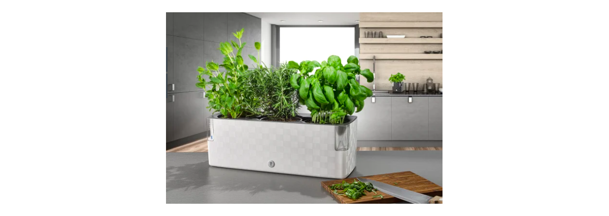 Mini drivhus indend�rs: S�dan dyrker du gr�nt hele �ret rundt