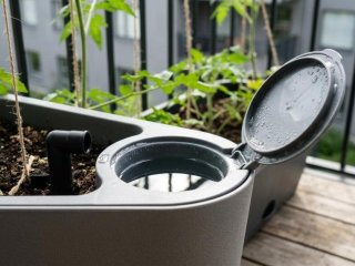 S�dan lykkes altandyrkning p� f� kvadratmeter hjemme
