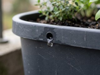 Altankasse eller kapill�rkasse: hvad skal du v�lge?