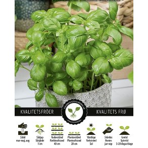 Basilikum Italiano Classico