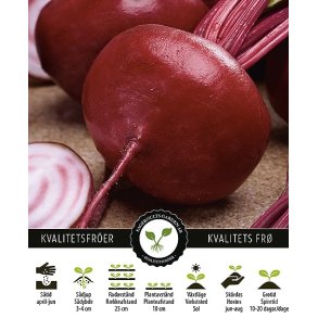 Rdbede Tonda Di Chioggia