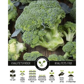 Broccoli Ramoso Calabrese
