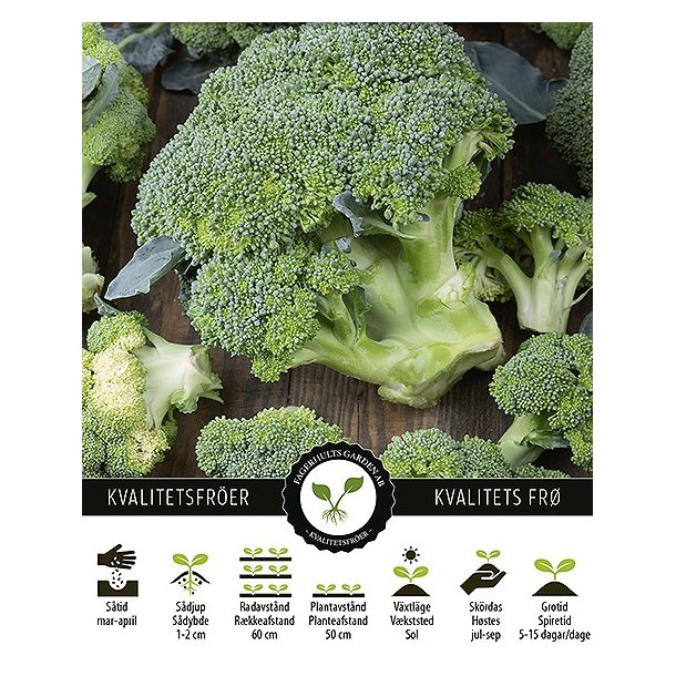 Broccoli Ramoso Calabrese