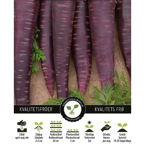 Gulerod Purple Sun F1