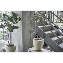 SUSTEE vandingsindikator til potteplanter
