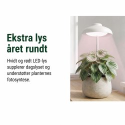 EMOS Z7901 giver ekstra lys til en stueplante ved vinduet