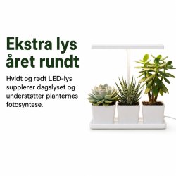 V�kstlys med 3 potter, timer og d�mpning