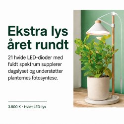 V�kstlys med timer og justerbar h�jde � EMOS Z7905