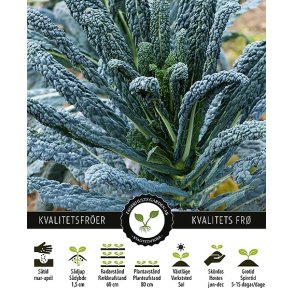 Palmek�l Nero Di Toscana