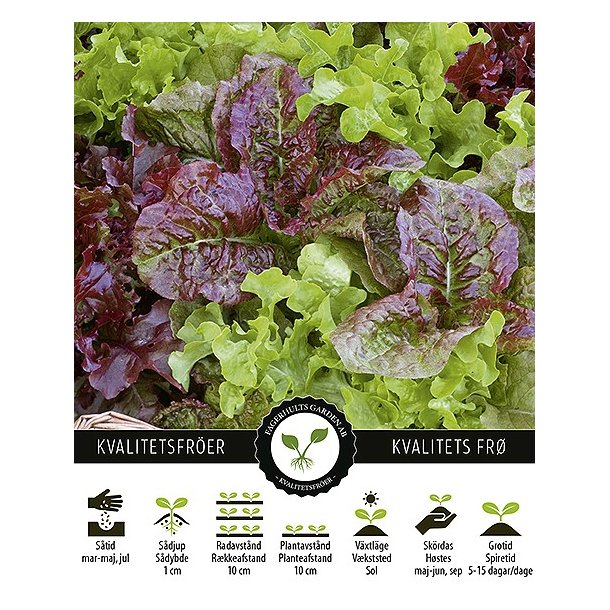 Salat Baby Leaf Mix