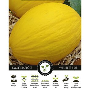 Melon Jaune Canari 2