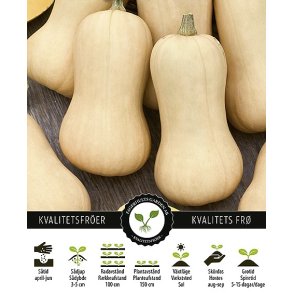 Grskar Butternut Waltham