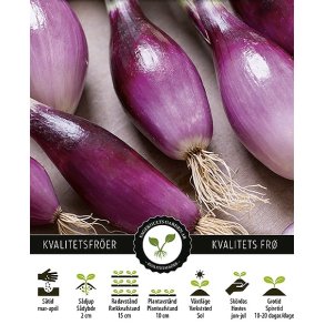 Fortslg Rossa Lunga Di Firenze