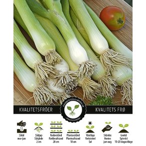 Forrslg Witte Van Lissabon