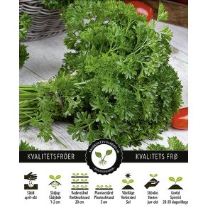 Persille Krus. Moss Curled 2