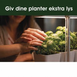 V�kstlys med 3 potter, timer og d�mpning