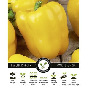 Paprika Sweet Quadrato DAsti Giallo