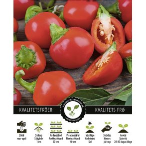 Paprika Sweet Topepo Rosso