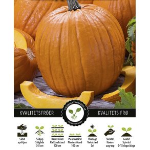 Grskar Connecticut Field