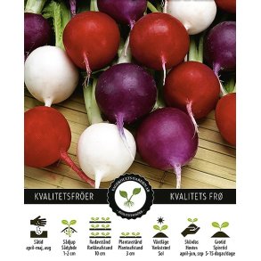 Radise Champion & Viola & Sniezka