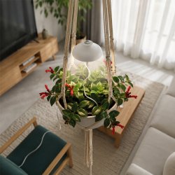 EMOS Z7901 v�kstlys placeret i en h�ngende potteplante
