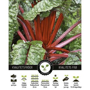Bladbede Rhubarb Chard