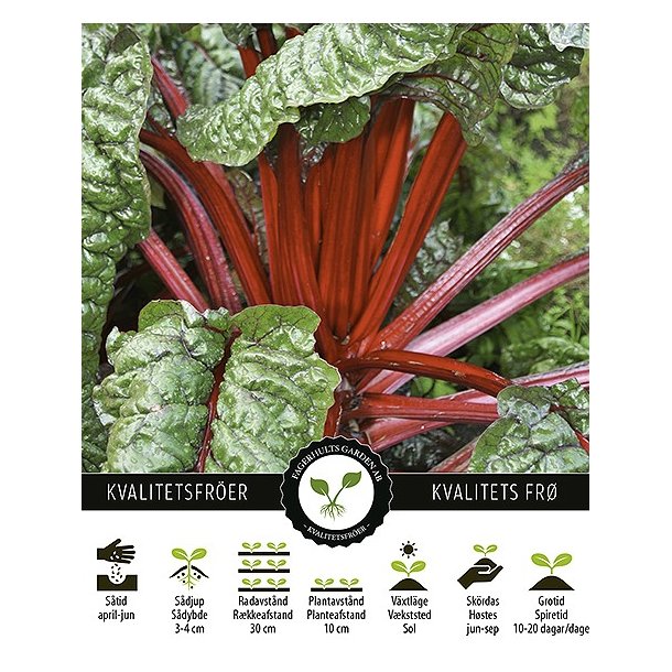 Bladbede Rhubarb Chard