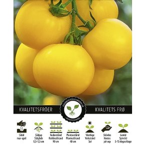 Tomat Goldene Knigin