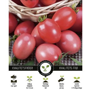 Tomat Plumbrella Rosy Pink