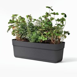 Plantekasse med vandreservoir