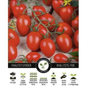 Tomat Principe Borghese