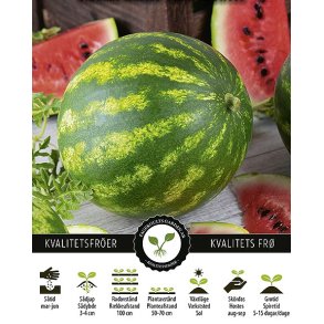 Vandmelon Crimson Sweet