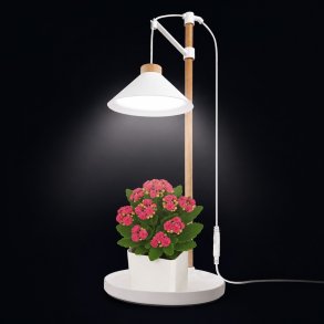 V�kstlys med timer og justerbar h�jde � EMOS Z7905