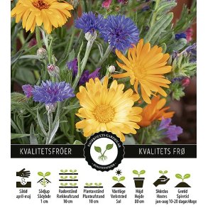 Blomsterblanding Honey Bee