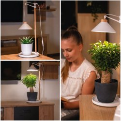 V�kstlys med timer og justerbar h�jde � EMOS Z7905