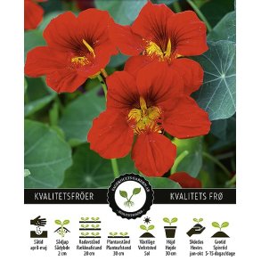 Tallerkensmkker Scarlet Jewel