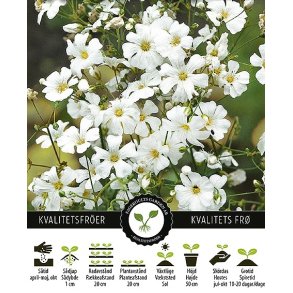 Covent garden market