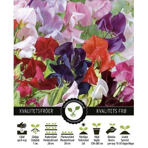 rteblomst Royal Family