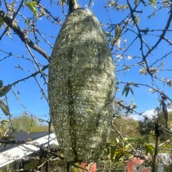 Rund Solcellelanterne