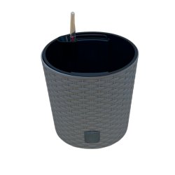 Rato potte med selvvandingsindsats