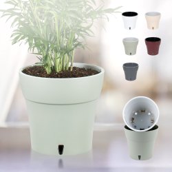 Dali, Potte med vandreservoir