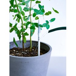 SUSTEE vandingsindikator til potteplanter