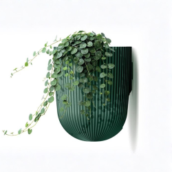 Milly Wall, V�gpotte