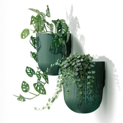 Milly Wall, V�gpotte